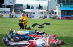 Royal Welsh Show